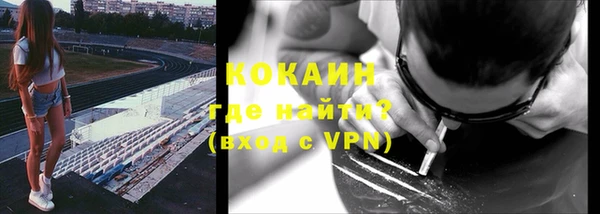 прущие грибы Алексин