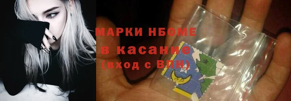 прущие грибы Алексин