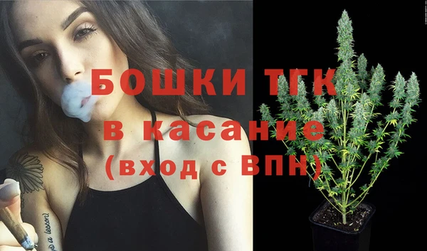 прущие грибы Алексин