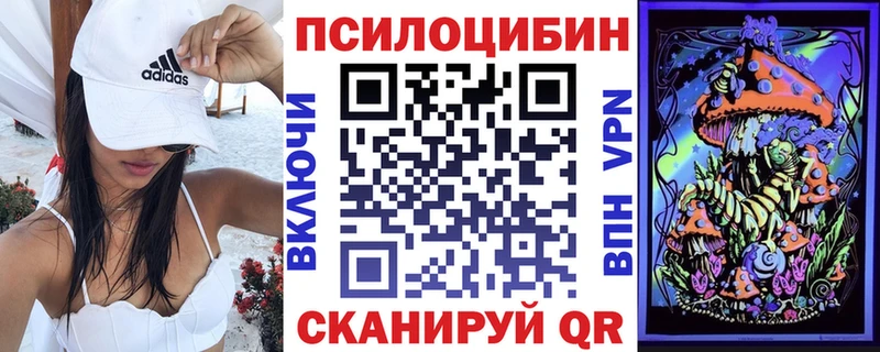 мега ССЫЛКА  Борзя  Псилоцибиновые грибы Psilocybine cubensis 